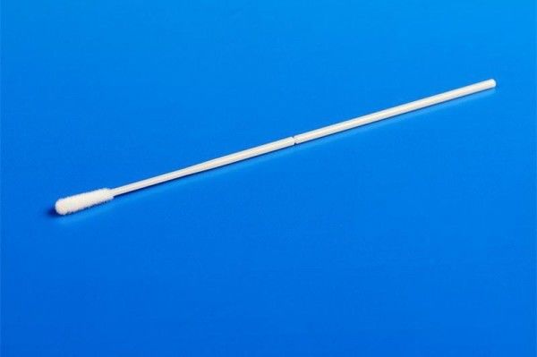 คอลเลกชันการเก็บตัวอย่างปากเปล่า Swabs ไนล่อนหัวไฟเบอร์ Cleanmo Swabs CM-FS915