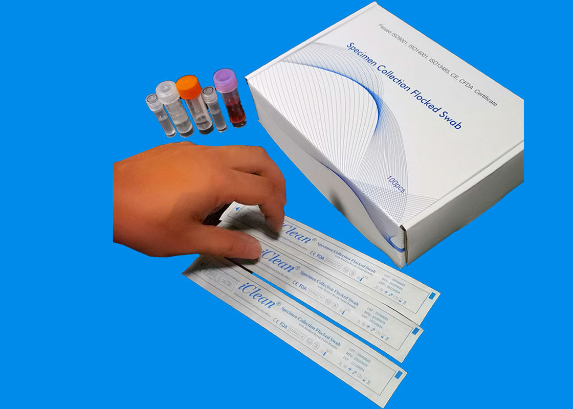 Flocked DNA Buccal Swabs สำหรับการสุ่มตัวอย่างไนลอนไฟเบอร์ปลอดเชื้อสำหรับการขนส่งด้วยหลอด